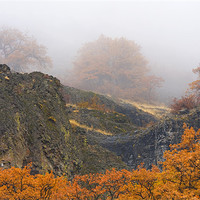 Buy canvas prints of Autumn Obscured by Mike Dawson