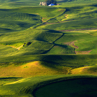 Buy canvas prints of Patterns of the Palouse by Mike Dawson