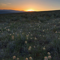 Buy canvas prints of Sunset and Clover by Mike Dawson