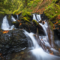 Buy canvas prints of Emerald Falls Autumn by Mike Dawson