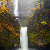 Buy canvas prints of Multnomah Autumn by Mike Dawson