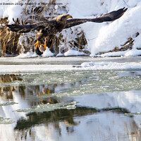 Buy canvas prints of Dinner on Ice by Mike Dawson