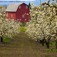 Buy canvas prints of Red Barn Spring by Mike Dawson