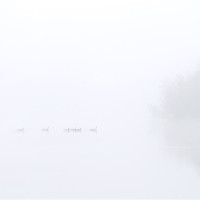Buy canvas prints of Out of the Fog by Mike Dawson