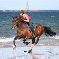 Buy canvas prints of Lossiemouth Beach Ride by Dave Wyllie