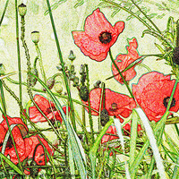 Buy canvas prints of Poppies by Julie Coe