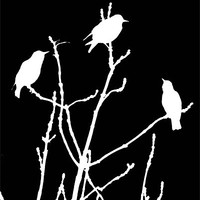 Buy canvas prints of White Birds on Black by Julie Coe