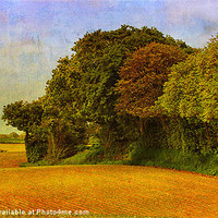 Buy canvas prints of Beautiful North Norfolk by Julie Coe