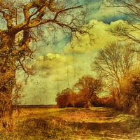 Buy canvas prints of Norfolk Countryside. by Julie Coe