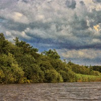 Buy canvas prints of On The River Ant by Julie Coe