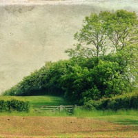 Buy canvas prints of Across The Fields by Julie Coe