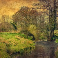 Buy canvas prints of River Glaven at Letheringsett by Julie Coe