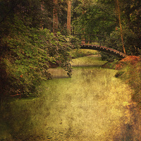 Buy canvas prints of River Bridge by Julie Coe