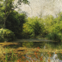 Buy canvas prints of Dilham Pond by Julie Coe