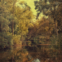 Buy canvas prints of Beautiful Pond by Julie Coe