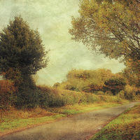 Buy canvas prints of Country Road 2 by Julie Coe