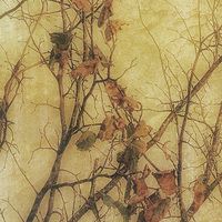 Buy canvas prints of Autumns Last by Julie Coe