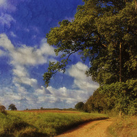 Buy canvas prints of Walking The Lane by Julie Coe
