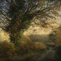 Buy canvas prints of Plumstead Road 2 by Julie Coe