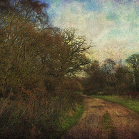 Buy canvas prints of A Walk In The Country by Julie Coe