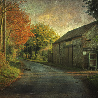 Buy canvas prints of Oak Farm, Edgefield by Julie Coe
