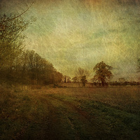 Buy canvas prints of Over A Field by Julie Coe