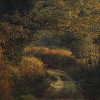 Buy canvas prints of Plumstead Road 4 by Julie Coe