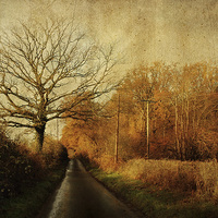 Buy canvas prints of Barningham Road Home. by Julie Coe