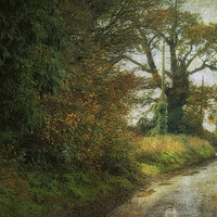 Buy canvas prints of Rectory Road, Edgefield by Julie Coe