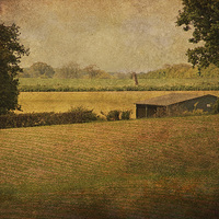 Buy canvas prints of Field Barn by Julie Coe