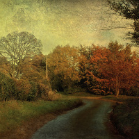Buy canvas prints of Rectory Road, Edgefield 2 by Julie Coe