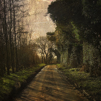 Buy canvas prints of Pond Hills Road 2 by Julie Coe