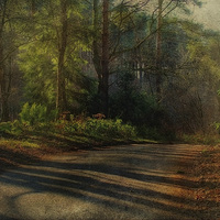 Buy canvas prints of Pond Hills Road 3 by Julie Coe