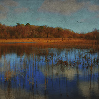 Buy canvas prints of Selbrigg Pond by Julie Coe