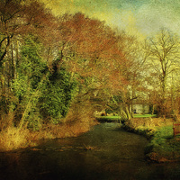 Buy canvas prints of Letheringsett, Norfolk by Julie Coe