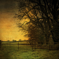Buy canvas prints of Norfolk Countryside 6 by Julie Coe
