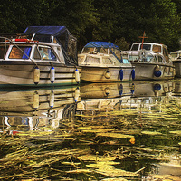 Buy canvas prints of Boats on the Broads 7 by Julie Coe