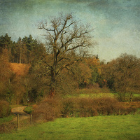 Buy canvas prints of Hunworth, Norfolk by Julie Coe