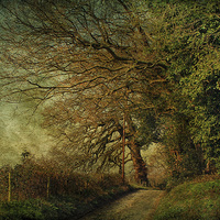Buy canvas prints of Hunworth, Norfolk 7 by Julie Coe