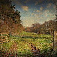 Buy canvas prints of Open Gates by Julie Coe