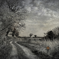 Buy canvas prints of Get Off My Land. by Julie Coe