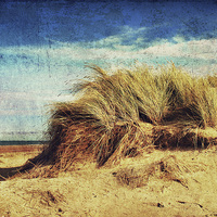 Buy canvas prints of Holkham Dunes 3 by Julie Coe