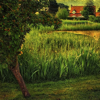 Buy canvas prints of Edgefield Village Pond by Julie Coe