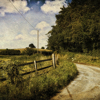 Buy canvas prints of Stody, Norfolk 2 by Julie Coe