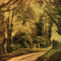 Buy canvas prints of Hunny Road, Edgefield 4a by Julie Coe