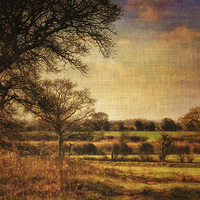 Buy canvas prints of Along Briston Road 2 by Julie Coe