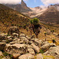 Buy canvas prints of Approach to Mount Kenya by John Russell