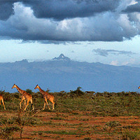 Buy canvas prints of Mt Kenya by John Russell