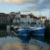 Buy canvas prints of Pittenweem Harbour by Andrew Beveridge