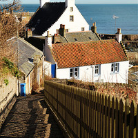 Buy canvas prints of Crail Hens Ladder by Andrew Beveridge